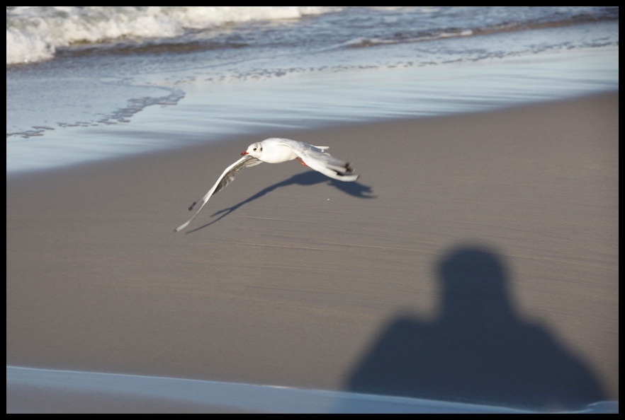 z nami rozwiniesz skrzydła
