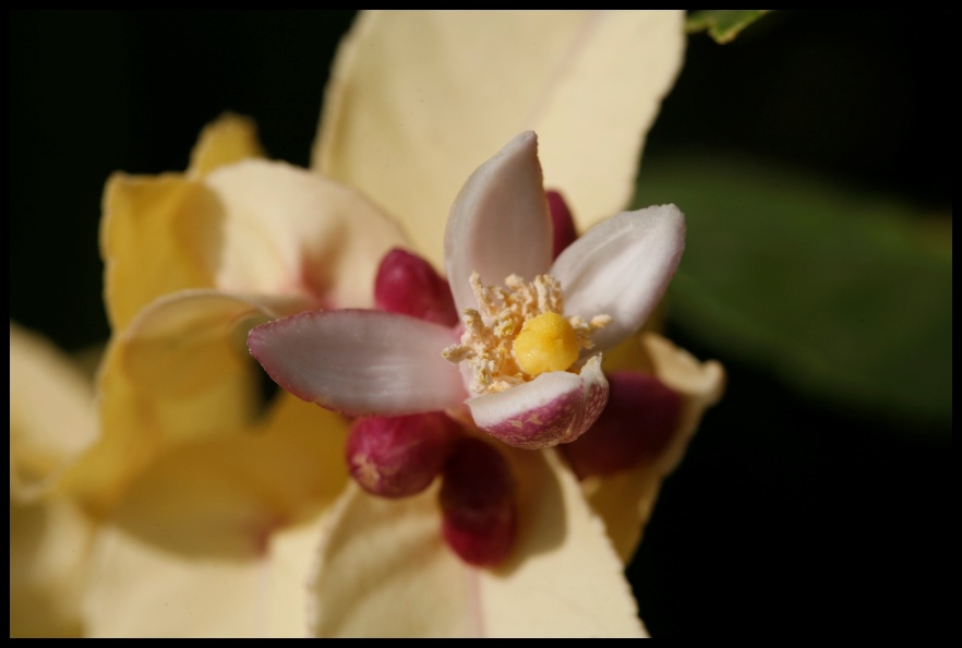 czasem o sukcesie decydują szczegóły - my wiemy jakie