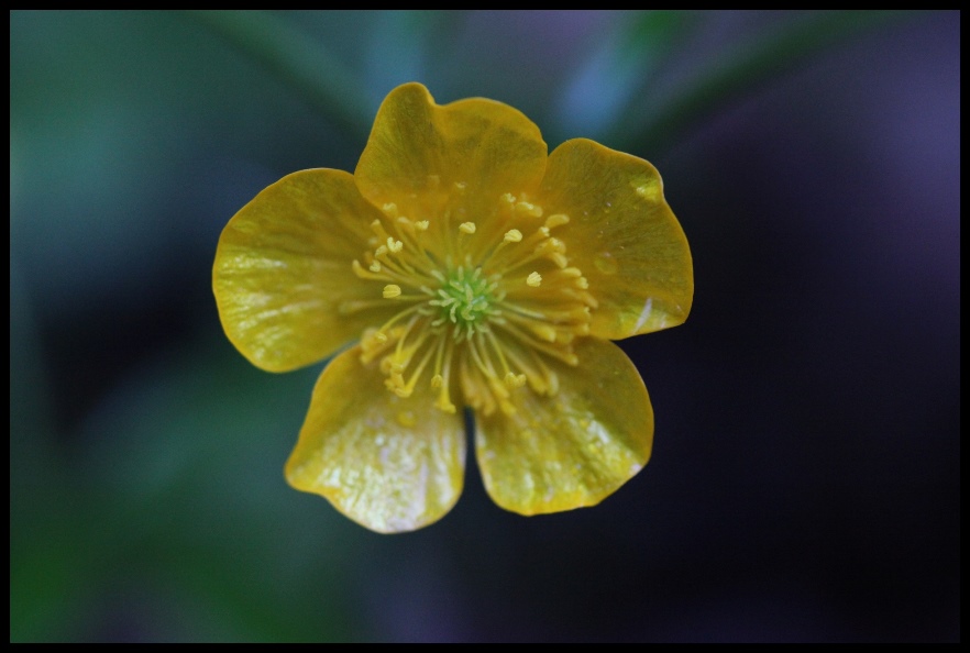 skoncentruj się na tym, co dla Ciebie ważne